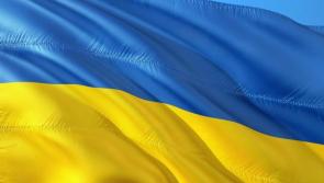 Expel Russian Ambassador for 'barbaric war' demands Offaly councillor