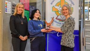Success for Banagher, Ferbane and Tullamore schools at Student Enterprise Awards