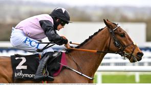 CHELTENHAM FESTIVAL 2022 DAY 3 TIPS - The horses worth a bet on Thursday 