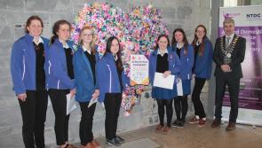 One Million Stars to End Violence Project display in Nenagh