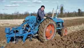 Great conditions for North Tipperary Ploughing championships