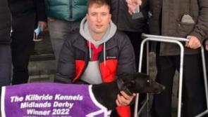 Gone to the dogs: Eight Offaly winners last week