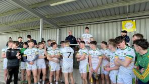 Offaly strike late against Laois to win U20 hurling league title