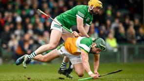 Early season defining clash looms as Offaly hurlers fight for Division 1 status