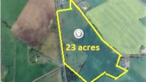 Farm near Offaly border has guide price of €9,000 per acre