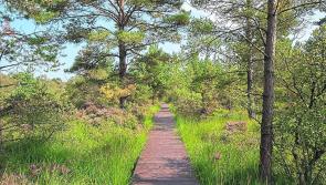 Offaly community groups awarded over &euro;16,000 from Peatlands Community Engagement Scheme
