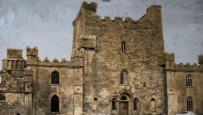 Sold-out talk on the burning of country houses in Offaly