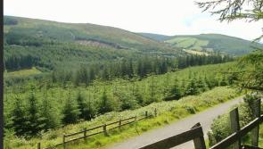 Slieve Bloom Association remembers deceased Offaly and Laois stalwart members