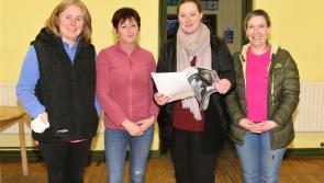 Rathcabbin Tidy Towns looking for a helping hand