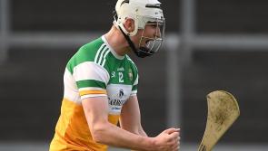 Routine win for Kilkenny as Offaly's best well short of the mark