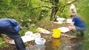 Free water diversity training programme launched in Offaly