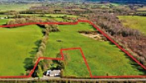 Impressive parcel of land with large guide price comes on the market in Offaly