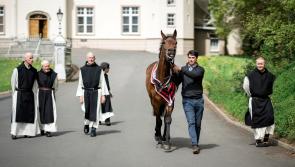 Grand National winning trainer returns to his former school with winning horse
