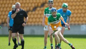 THE MAN BEHIND THE WIRE: Green shoots for Offaly hurling augurs well for the future 