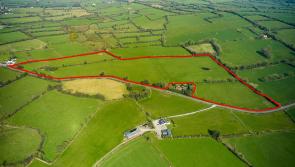 ‘Great confidence among buyers’ as farm in Midlands farm sells for huge amount at online auction