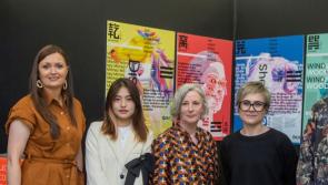 Offaly artist issues advice to students on creative endeavours
