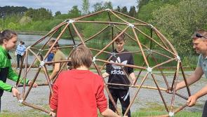 Offaly schools take part in Biodiversity Week