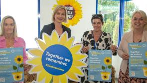 Countdown is on for Hospice Sunflower Days in Offaly