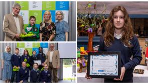 PICTURE SPECIAL: Offaly’s Youngest Entrepreneurs Recognised at Most Enterprising Student Awards