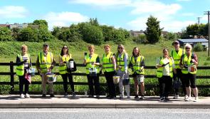 Roscrea Tidy Towns need your help for the 2022 'Big Sweep'