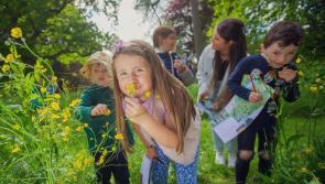 Birr Castle Demesne launches Wild Connection project during Biodiversity Week