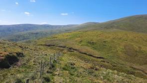 OPINION (AN COLÚN): Silage, slurry and a Saint's relics while driving north