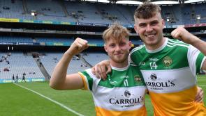 The Man Behind the Wire: Ratings for all the Offaly Senior Hurlers after a disappointing season