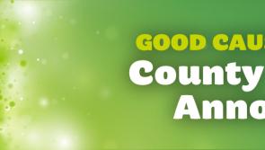 Offaly County Winners announced in National Lottery Good Causes Awards 
