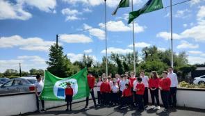 Fourth Green flag awarded to Offaly school