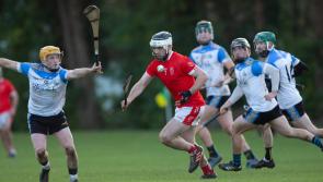 Offaly Senior “B” Hurling Championship teams profiled