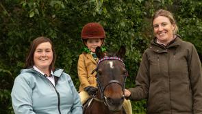 Equine section will be a 'mane' attraction at leading Offaly agricultural show