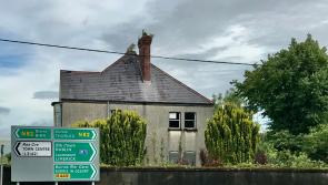 Landmark Roscrea home 'going to waste'