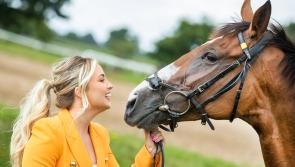 AXA Midlands National of €100,000 highlight of year at racetrack on Offaly border