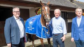 Kilbeggan all set for highlight of racing year