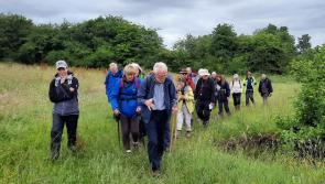 €15,000 for biodiversity enhancement in Syngefield Demesne, Birr