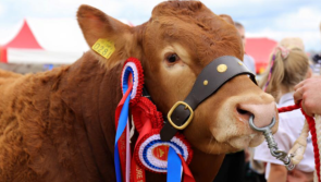 Entries 'bursting at the seams' for Ireland's largest one day agricultural show in Offaly