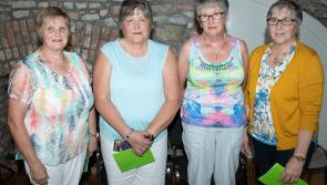 Multiplicity of events at festival in Offaly town next weekend