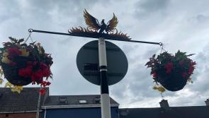 Symbolic Phoenix makes welcome return to street in Offaly