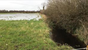 Local residents initiate High Court proceedings against proposed Banagher abattoir