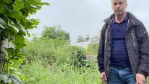 Borrisokane residents want old mass path restored