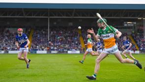 Top award for Screeney as four Offaly players make national minor hurling team of the year
