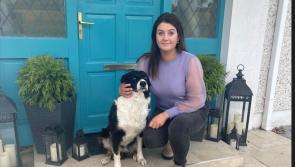 Chelsey is the new face of the Tullamore Show