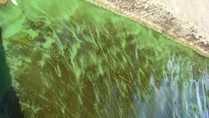 Toxic algal bloom detected on scenic and popular lake in the Midlands