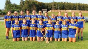 Offaly Camogie Championships making progress