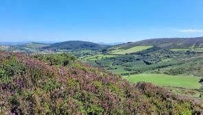 OPINION (AN COLÚN): In touch with beauty in the Lough Derg hills