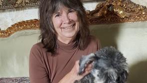 Former American ballerina 'fell in love' with castle in Offaly which is now up for sale