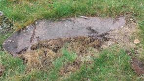 Experts reveal their findings after Seir Kieran surveys