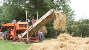 Ever popular Community Threshing Festival returns to The Black Bull on Sunday