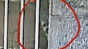 Ghost sighting near Offaly gets international attention
