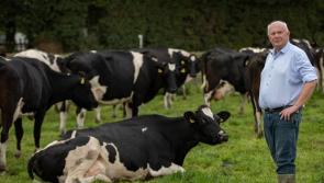 Extend the deadline for spreading chemical nitrogen – Cahill